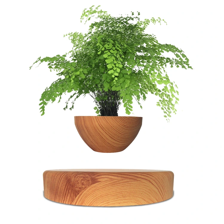 Smooth wooden hemispherical planter floating above its round wooden base