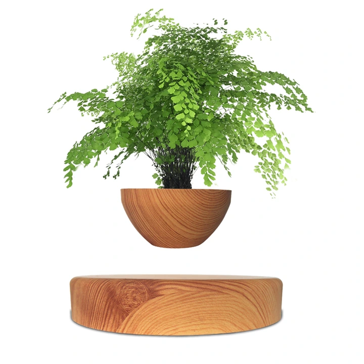 Floating plant pot