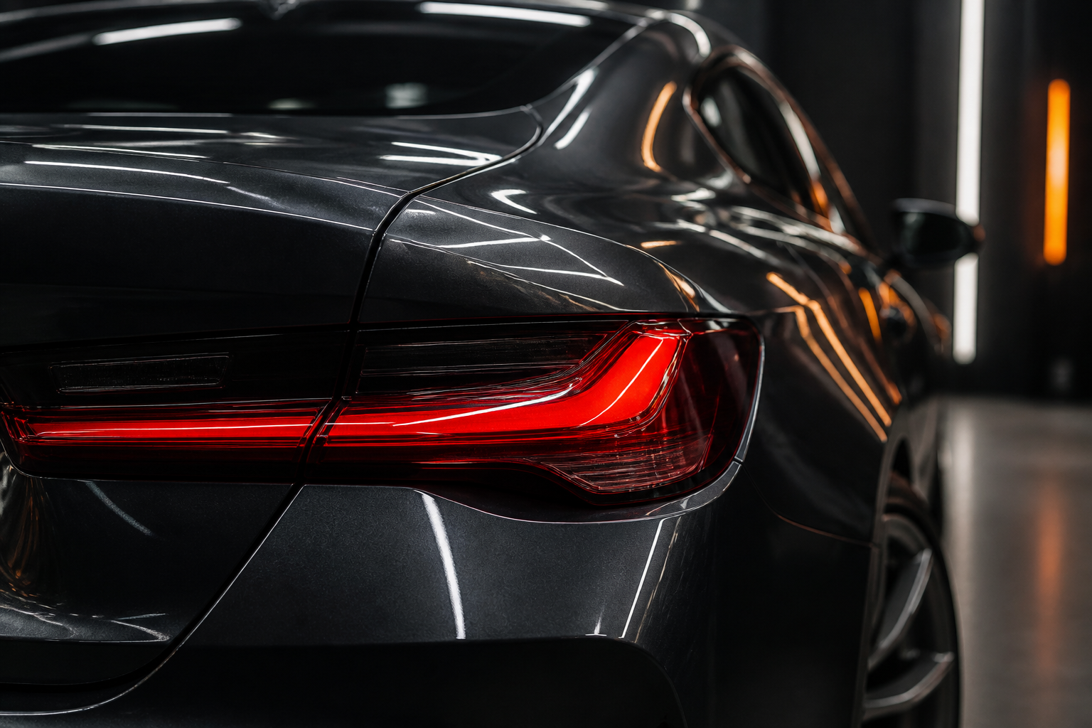 Polish profesional — concept demonstrativ NORD